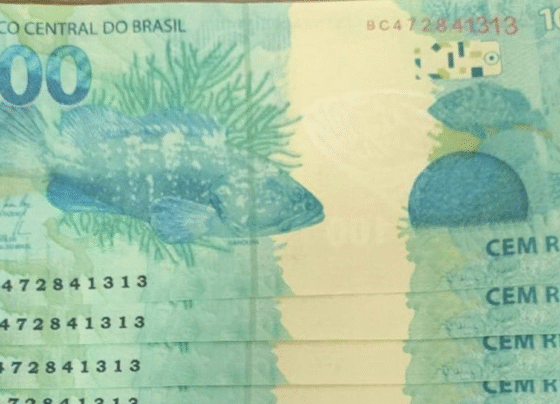 CNN Brasil