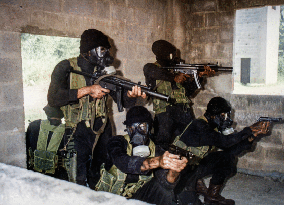 CNN Brasil